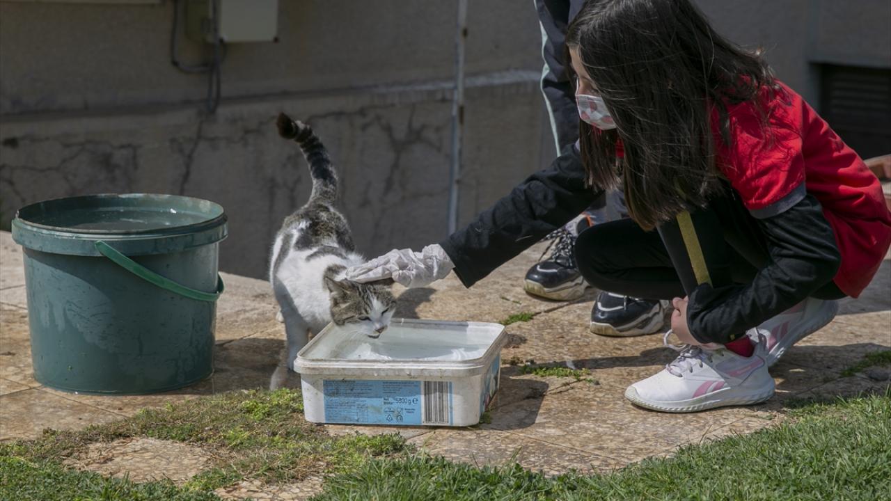 "Onların karnını doyurmak beni çok mutlu etti"