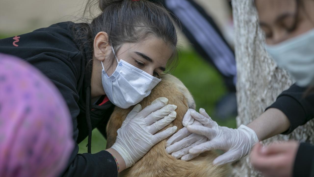 "Kedi fobimi yendim, köpekleri de sevdim"