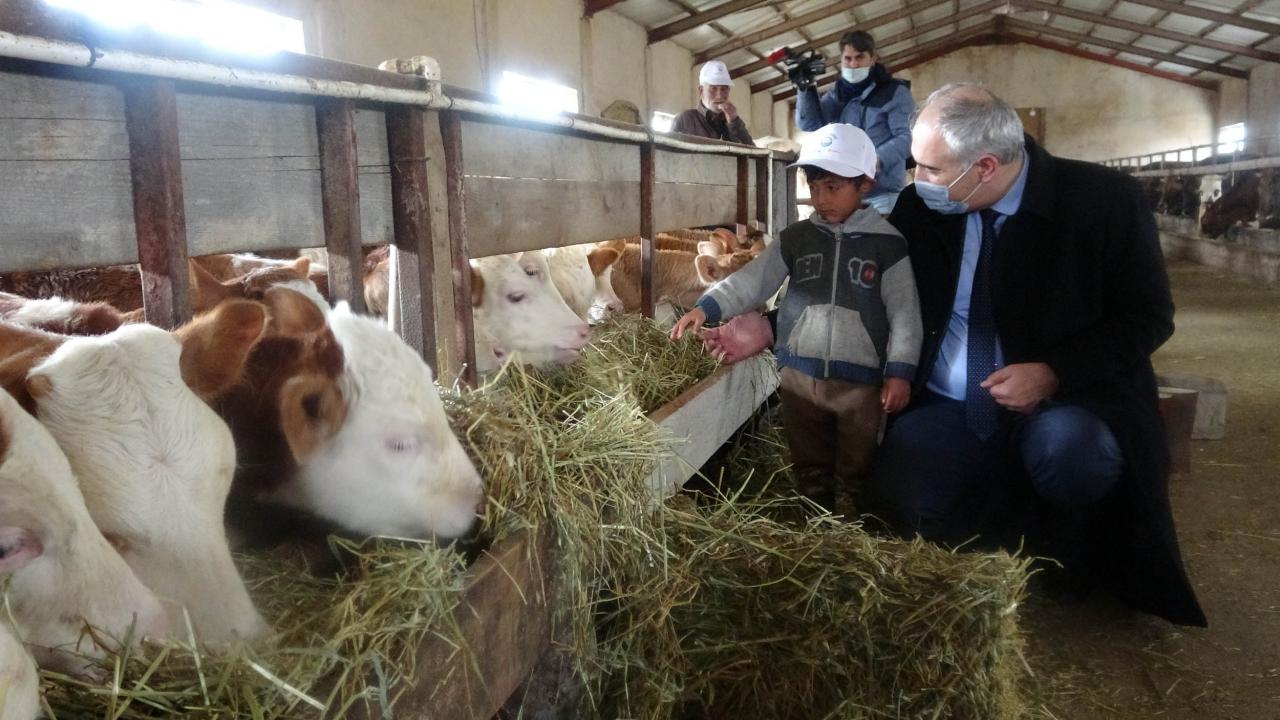 İkinci etap başlatıldı