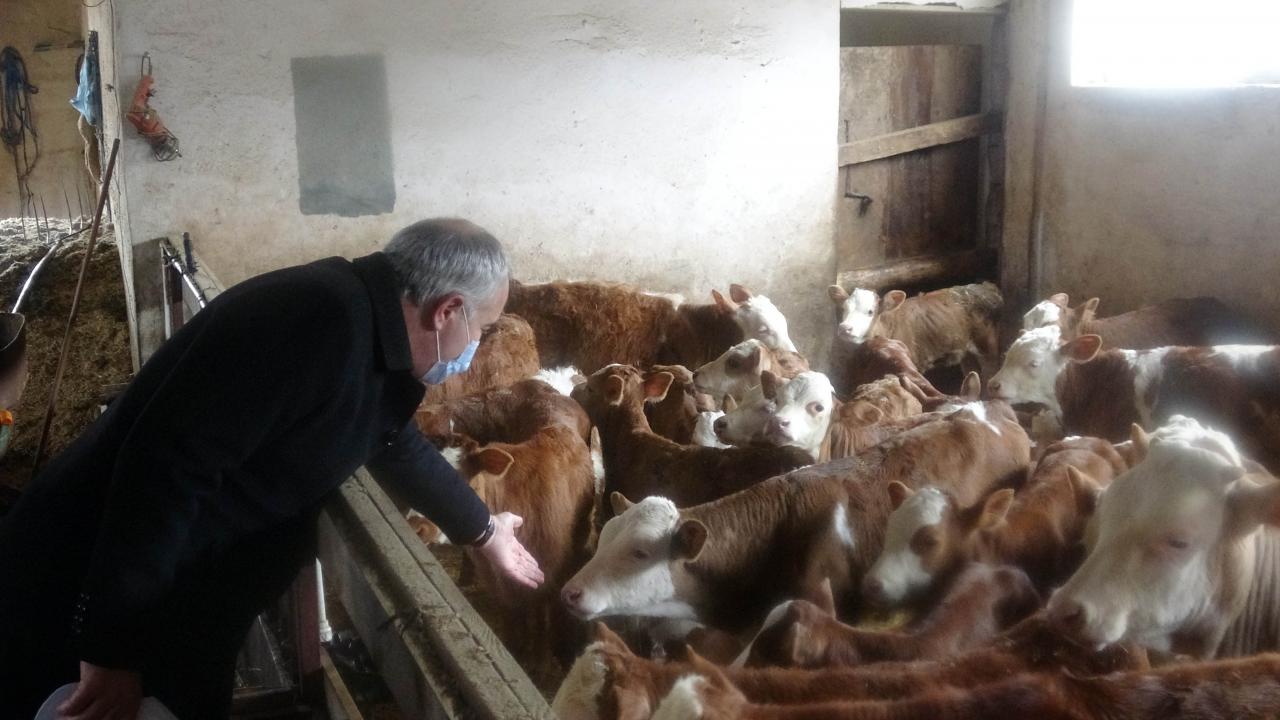 Aylık 11-15 bin lira arasında geliri olan var