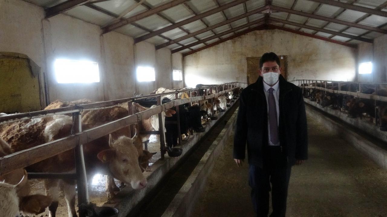 16 ayda 3 liraya ulaştı