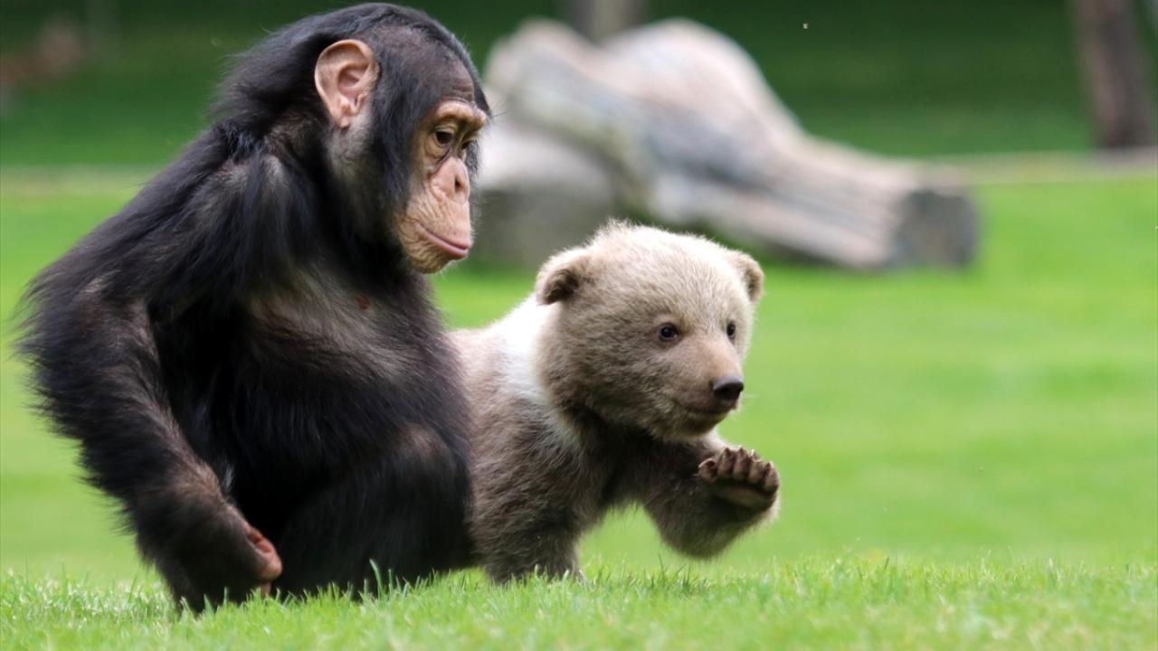 "Ona annelik, kardeşlik görevi yapıyor"