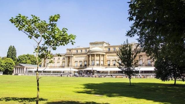 Buckingham Sarayının bahçesi halka açılıyor