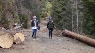 Gümüşhane ormanlarını kadın ormancılar koruyor