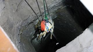 Definecilerin kazdığı çukura düşen köpeği itfaiye kurtardı