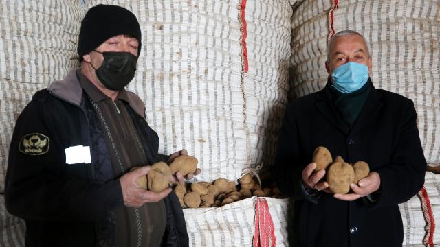 Ahlatlı patates üreticileri destek bekliyor