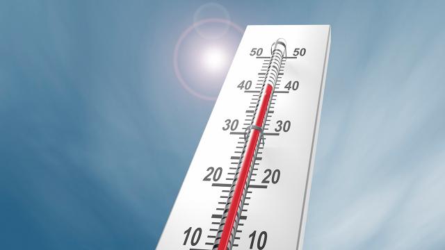 Baharda sıcaklıklar mevsim ortalamalarının üzerinde seyredecek