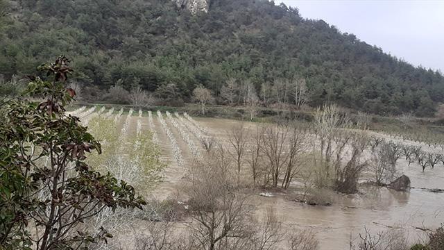 Bilecikte Göksu Nehri taştı: Tarım arazileri su altında kaldı