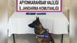 Afyonkarahisar'da uyuşturucu operasyonu: 1 gözaltı