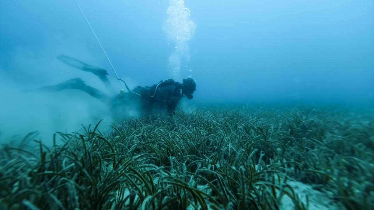 "Suyun altındaki özgürlük bambaşka"