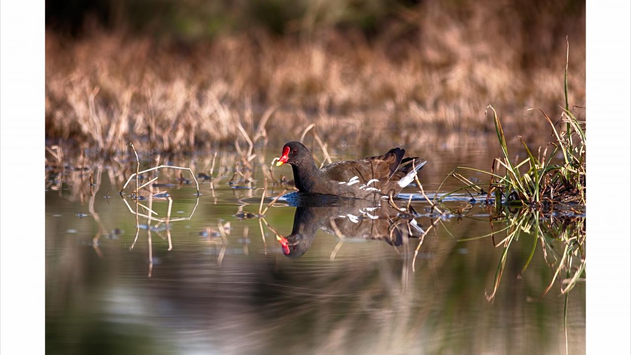 "Sabah saatleri bizim için altın saatler"