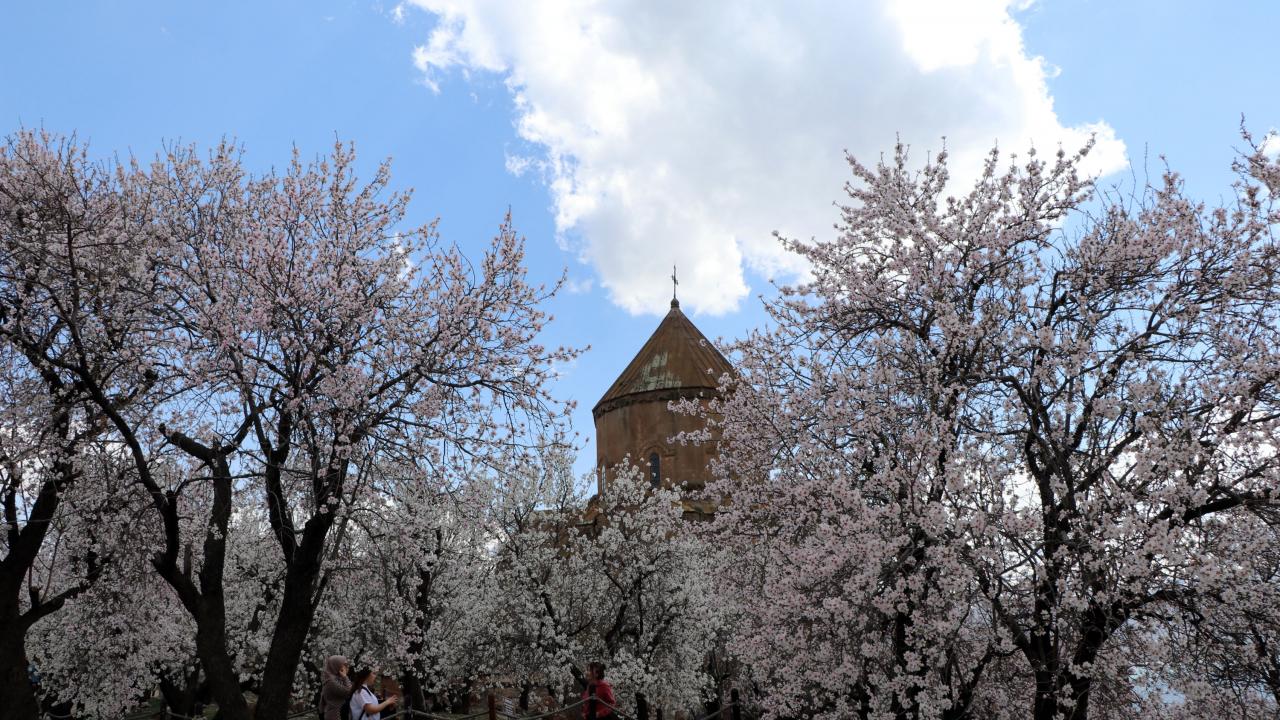 Ağaçların çiçek açmasıyla birlikte ada rengarenk oldu. 