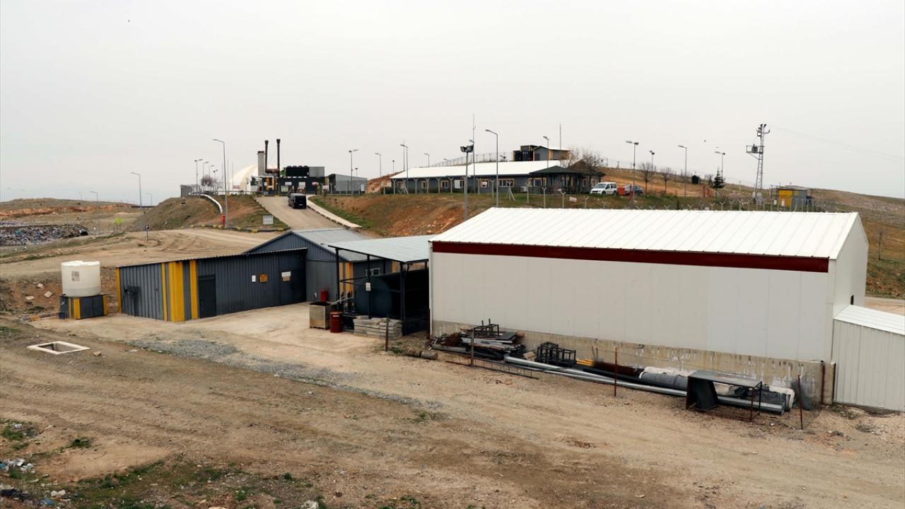 Nega vaginal jinsiy aloqa juda ogriqli? Lera Kudryavtsevaning kokraklari va mushuklari