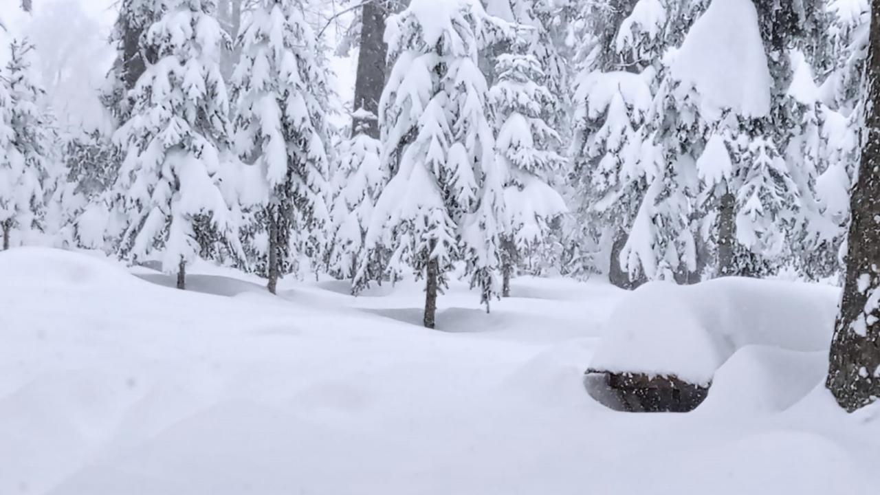"Böyle bir kar görmedim"