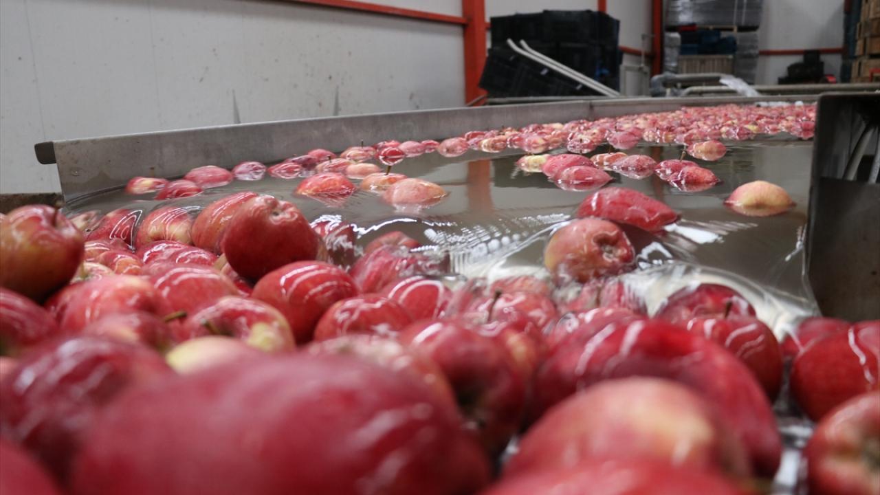 "Ülkemizin ekonomisine katkı sağlanıyor"