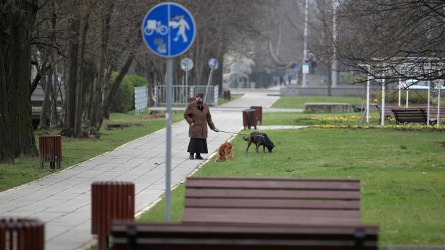 Bulgaristanda günlük vaka sayısında rekor