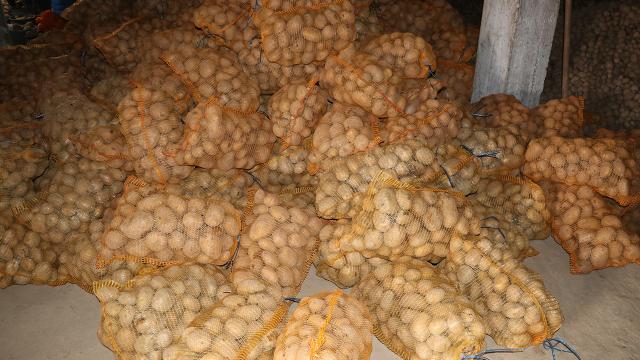 Patates ve soğanların ihtiyaç sahiplerine dağıtımına başlandı