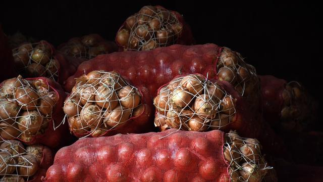 Üreticinin elinde kalan ürünlerin alımı sürüyor