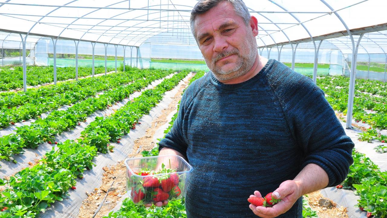 "Avrupa`nın birçok ülkesine ihraç ediyoruz”