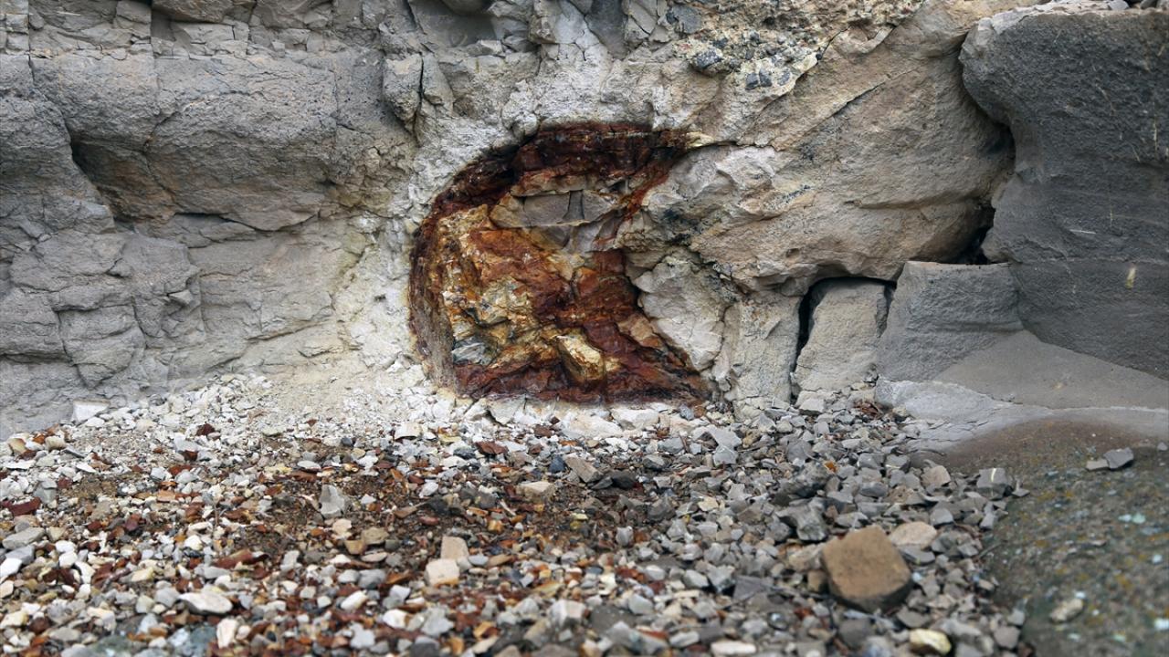 19 milyon yıl öncesine dayanan fosiller var