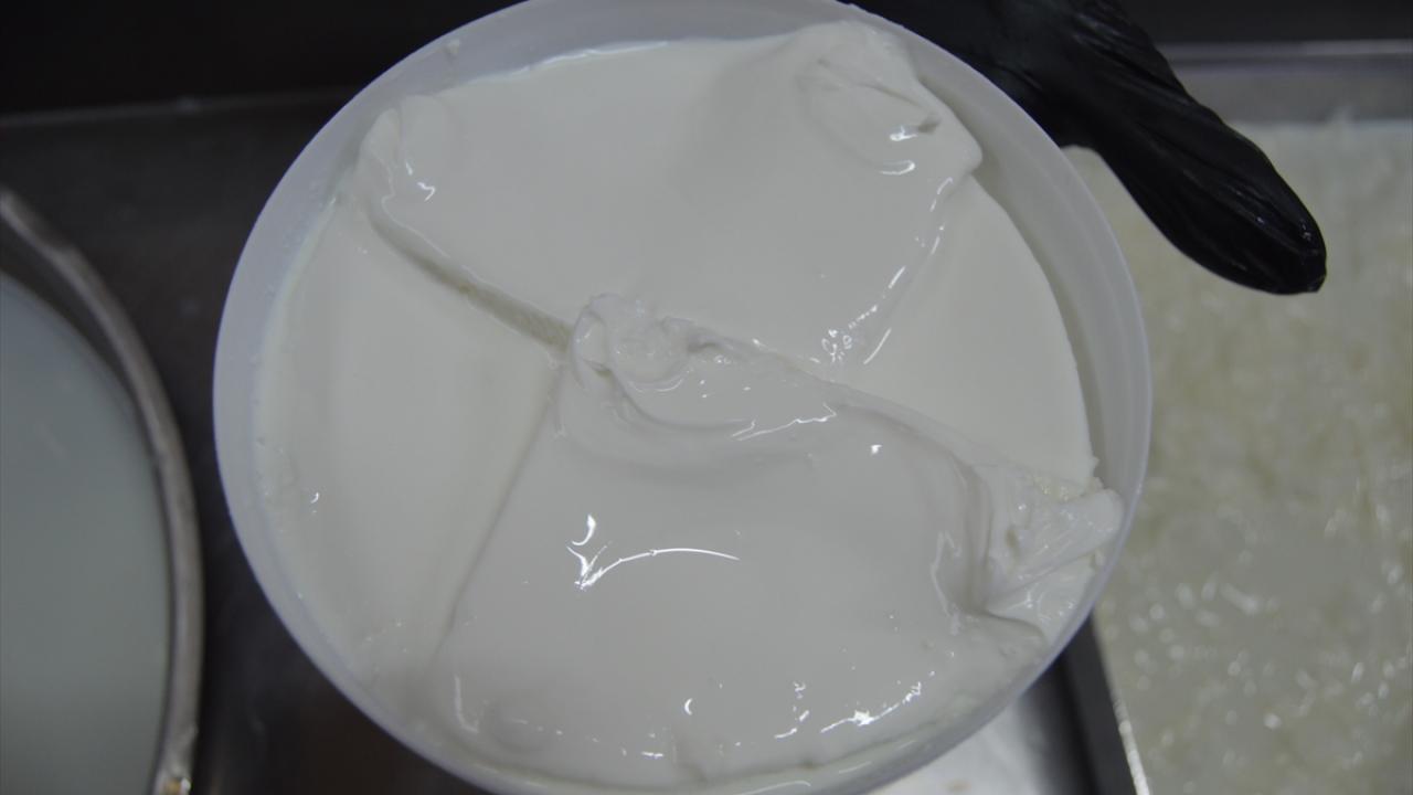 "Her gün yapmamızı talep ediyorlar"