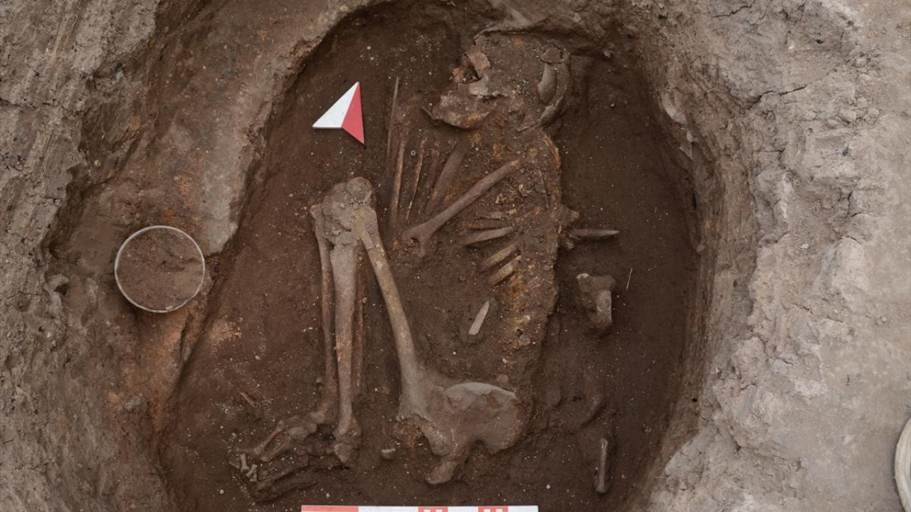 Farklı akrabalık yapılarına ilişkin güçlü bulgular