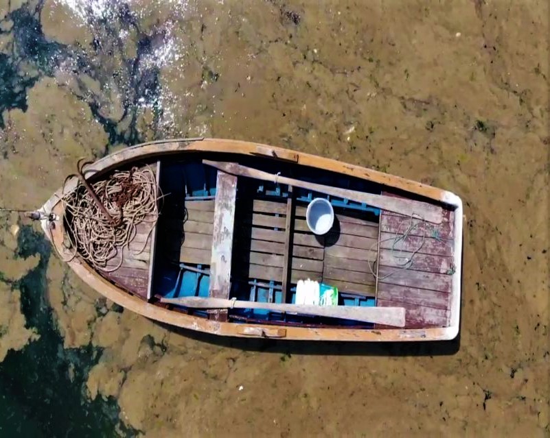 "Bu bir doğa olayı"