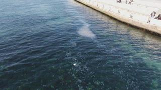 İstanbul Boğazı'nda denizanası istilası: Su altında binlercesi görüntülendi