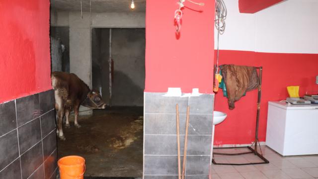 Düzcede kaçak et kesimi yapılan 2 ruhsatsız iş yeri mühürlendi