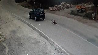 Yolun karşısına geçmek isteyen köpeğe çarpıp kaçtı