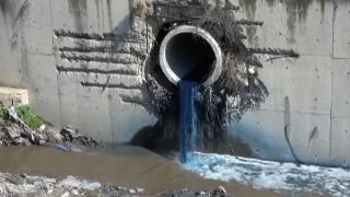 Haramidere bu kez mavi aktı