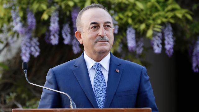 Bakan Çavuşoğlu, Slovenyalı mevkidaşı Logar ile görüştü