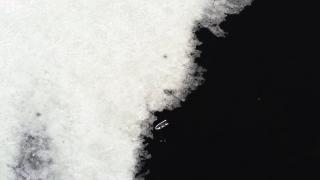 Küresel ısınmaya dikkat çekmek için buz altında sergi düzenledi