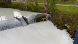 Süt tankerinin devrildiği nehirden süt aktı