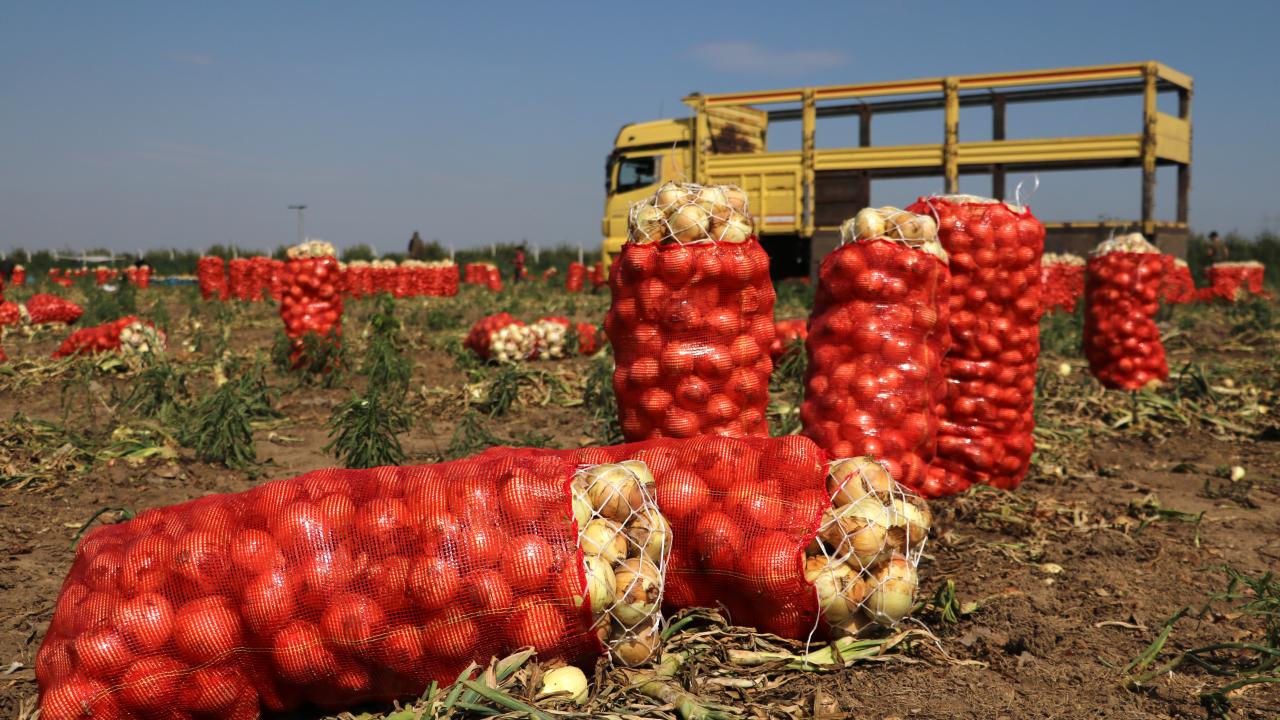 "Soğana talep yok"