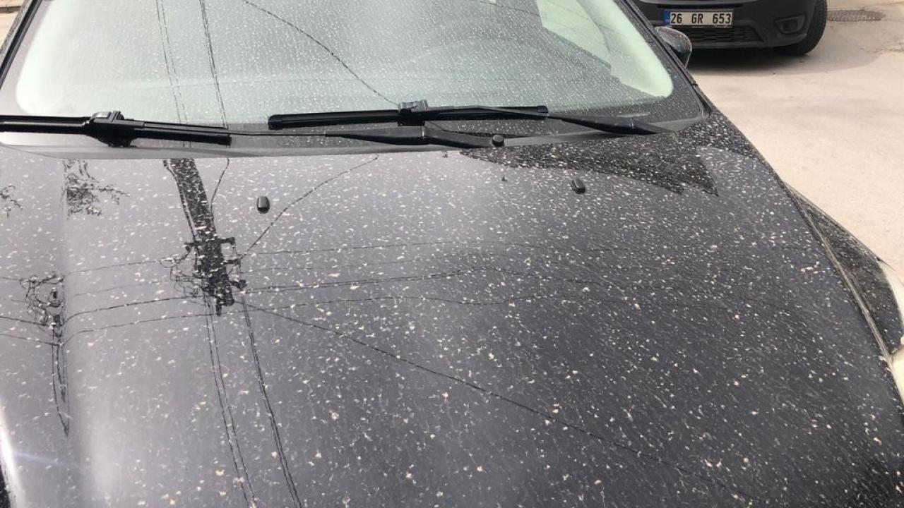 "Toz bulutu görüyorsanız pencereyi açmayın"