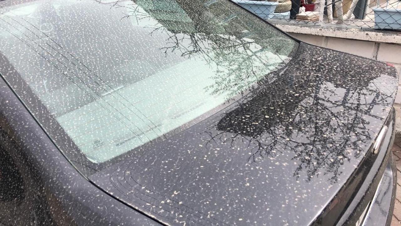 Bu belirtileri gösterirseniz dikkat edin