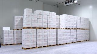 Aşılara kimlik verilerek adım adım izleniyor