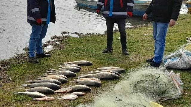 Kırklarelinde kaçak avlanan balıklar suya bırakıldı