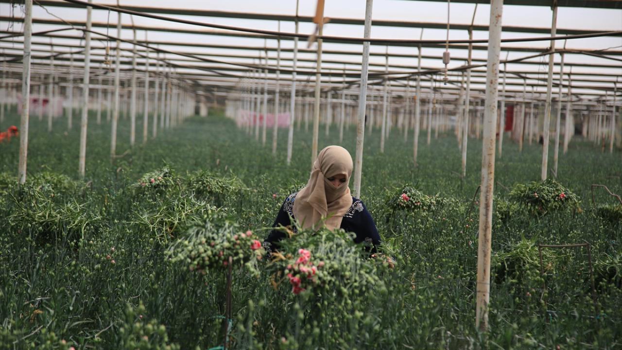 "Bereketli bir yıl geçirdik"