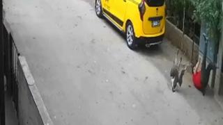 Kendisine saldıran kazları satmaya karar verdi