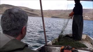 Çıldır Gölü'nde balıkçıların av mesaisi başladı