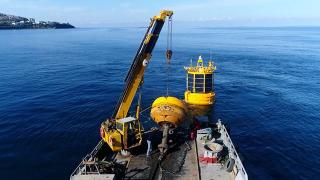 IFİSH Projesiyle denizlerdeki balık çeşitliliği korunuyor