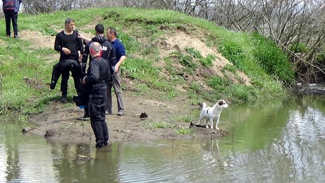 Kaybolan yaşlı adamın köpeği ekiplerin yanından ayrılmadı