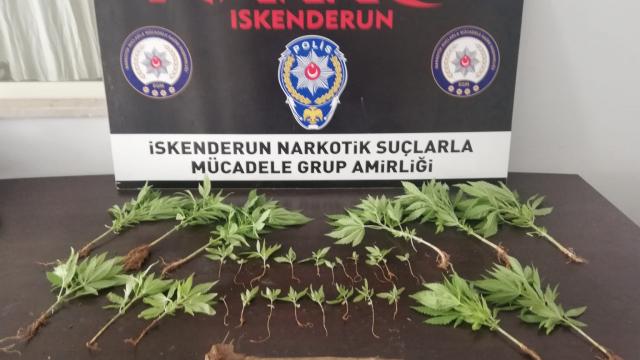 Hatayda uyuşturucu operasyonunda 1 kişi gözaltına alındı