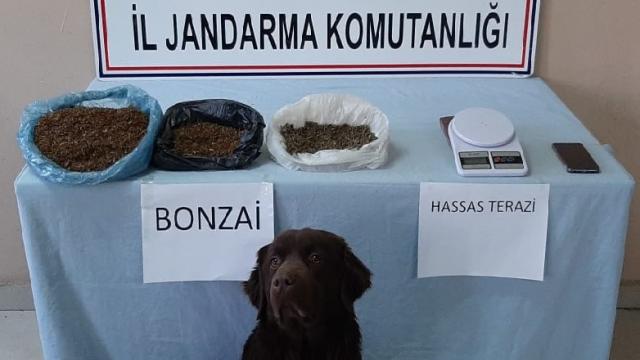 Erzurumda uyuşturucu operasyonunda 3 şüpheli tutuklandı