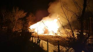 Sinop'ta ahır yangını: 12 büyükbaş hayvan telef oldu