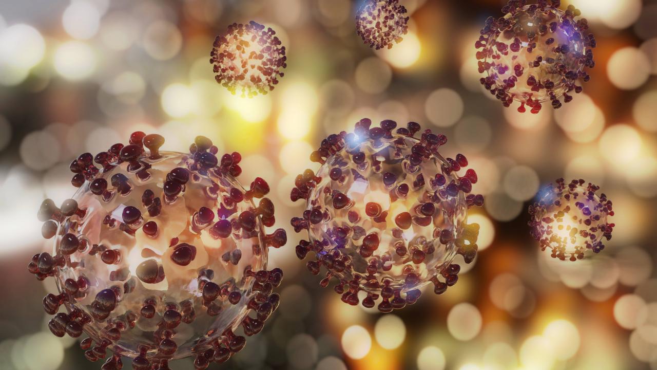 HİNDİSTAN`DAN GELENLERE KARANTİNA