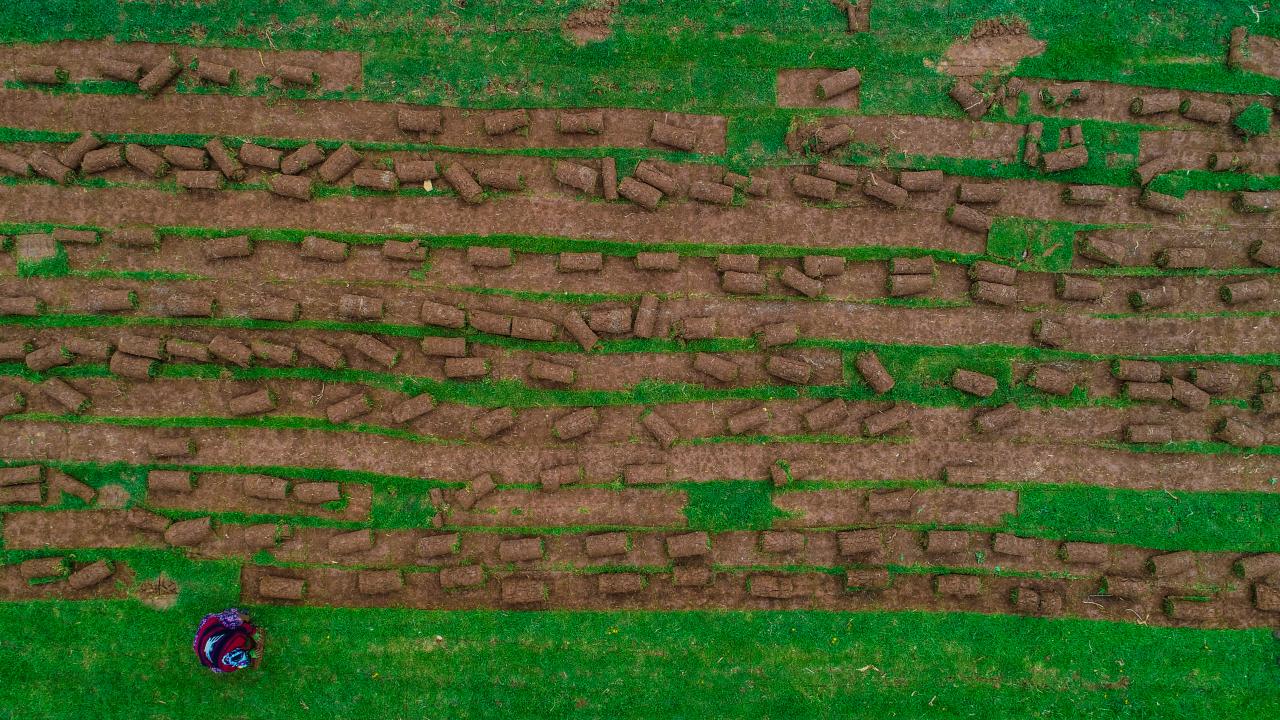 Bu yıl arazilerinde 200 bin metrekarelik rulo çim beklentisi içerisinde olduklarını dile getiren Mısırlıoğlu, şöyle konuştu: