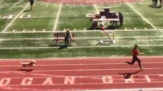 Tribünden atlayan köpek atletizm yarışmasını birincilikle bitirdi